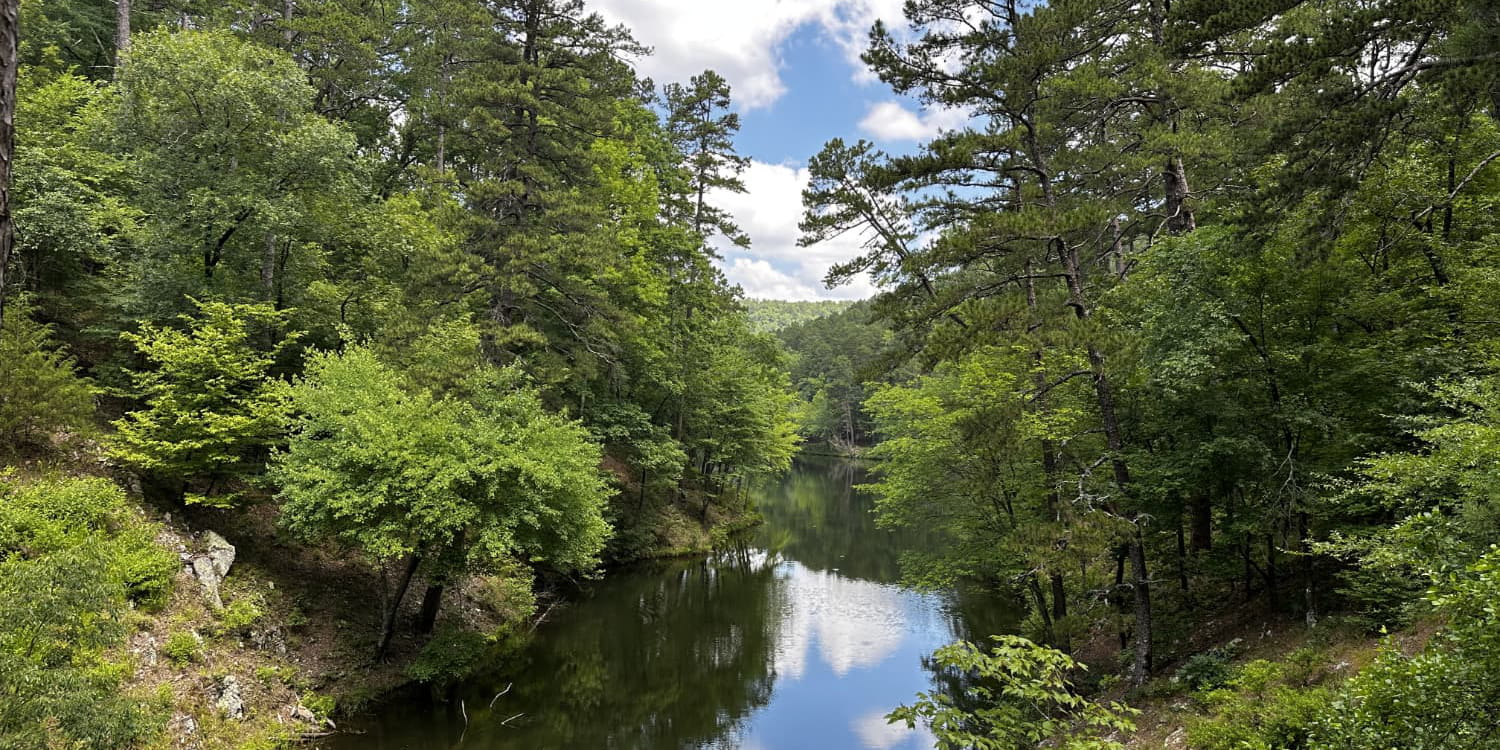 picture of norhtwoods trails in Arkansas