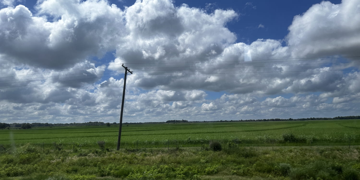 A phone pole in a green field with a blue sky