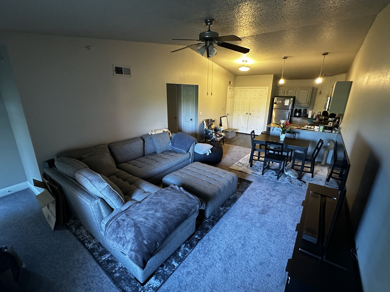 Photo of my new apartment with my own couch and dining room