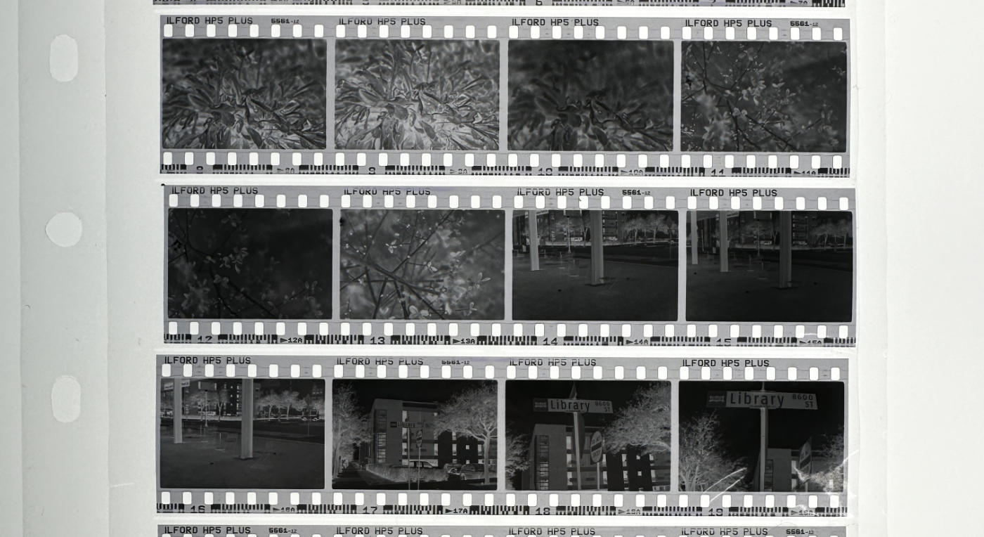 Photo of negatives from film photography class